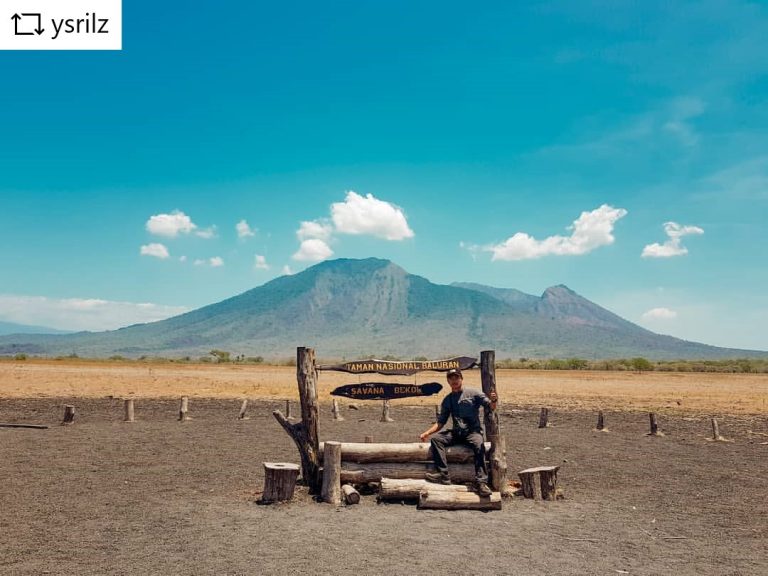 Tiket Masuk Terbaru Ke Taman Nasional Baluran Jawa Timur