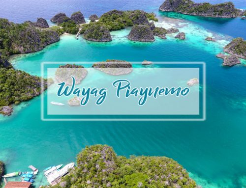 Paket Wisata Raja Ampat Wayag Piaynemo Kabui 4 Hari 3 Malam Resort
