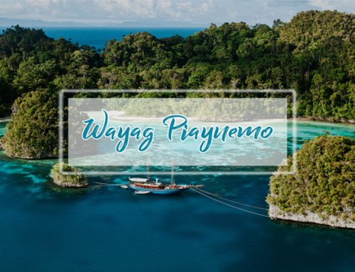 Paket Wisata Raja Ampat Wayag Piaynemo 3 Hari 2 Malam Resort