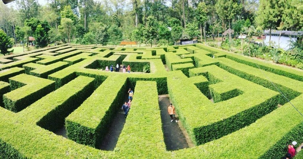 Terletak di Kawasan Kos Mahasiswa, Omahkoe Guest House Menjadi Unggulan