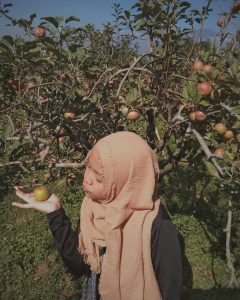 petik apel Malang Raya