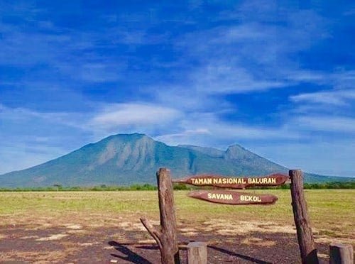 baluran