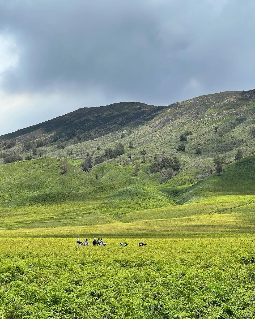 Bukit Teletubbies Bromo