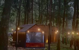 Foto penginapan Bobocabin Coban Rondo Malang yang berada di tengah hutan, menawarkan pemandangan pemandangan pepohonan hijau dihiasi dengan lampu taman aestetik serta udara sejuk dengan sedikit berkabut