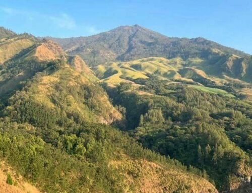 Budug Asu Malang: Trekking Menantang dan Panorama Alam Pegunungan