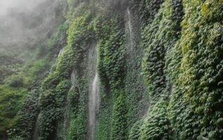 Coban Sumber Pitu Malang