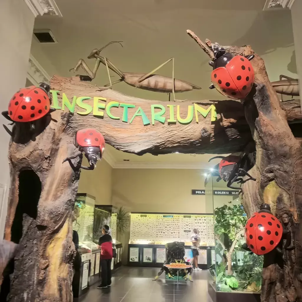 museum insectarium jatim park 2 museum insectarium jatim park 2