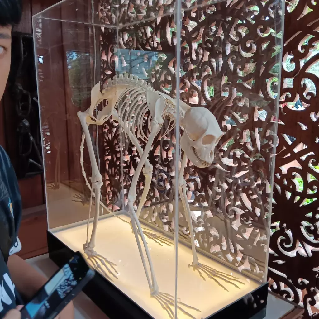 museum tubuh jatim park 2 museum tubuh jatim park 2