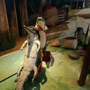 museum predator fun park