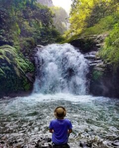 landscape coban suko landscape coban suko