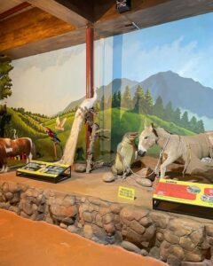 miniatur satwa predator fun park