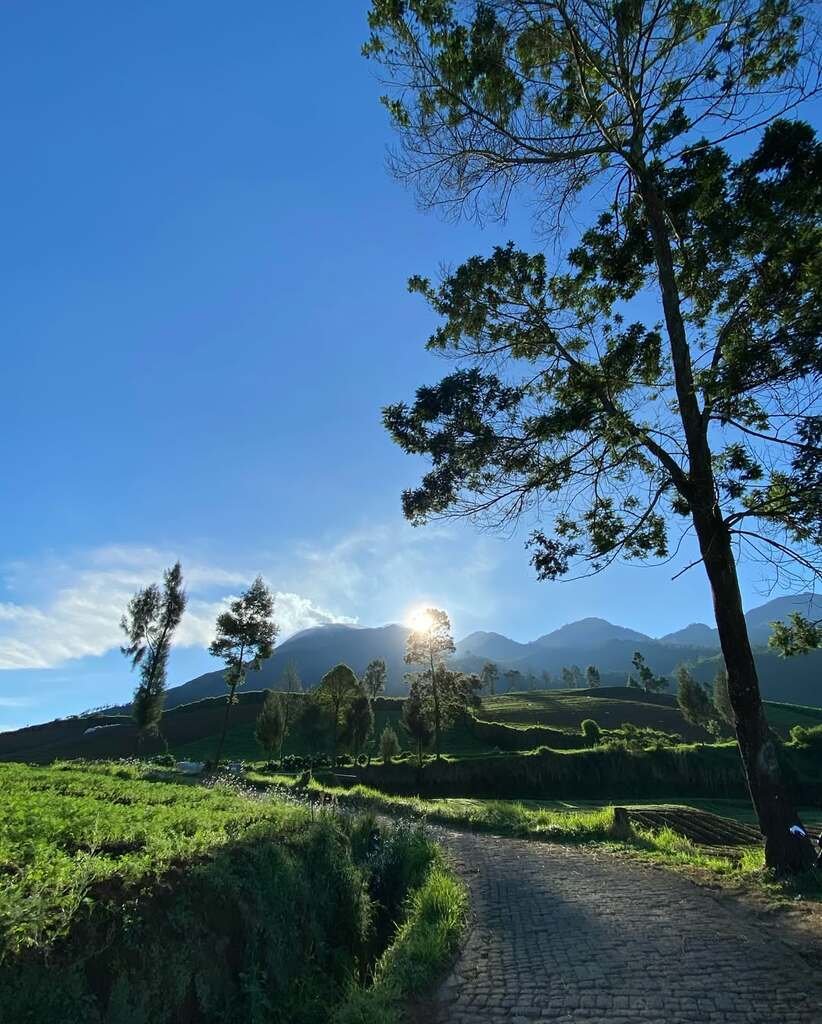 Brakseng Malang Pagi Hari