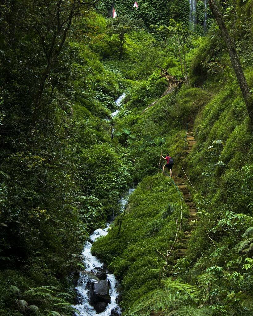 jalur trekking ke coban jalur trekking ke coban