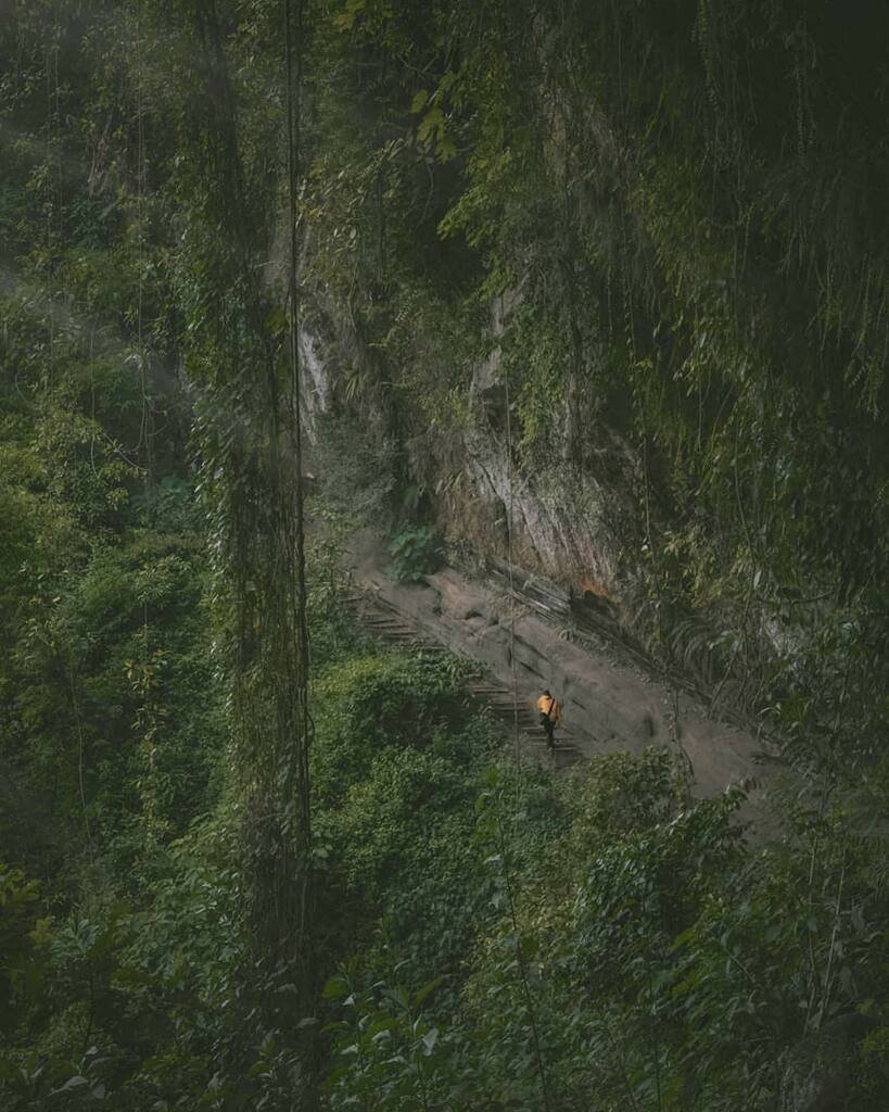 jalur trekking ke coban