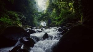 sungai coban suko sungai coban suko