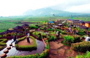 Desa Wisata Pujon Kidul Desa Wisata Pujon Kidul