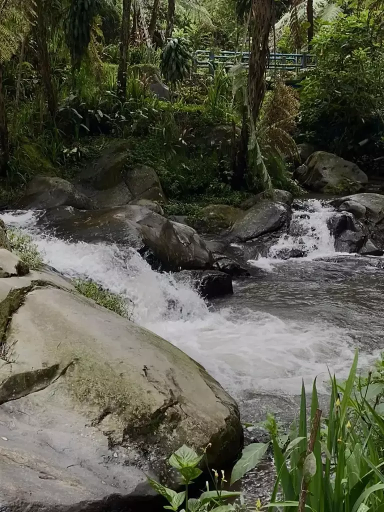 Aliran sungai jernih di bawah air terjun Coban Siuk