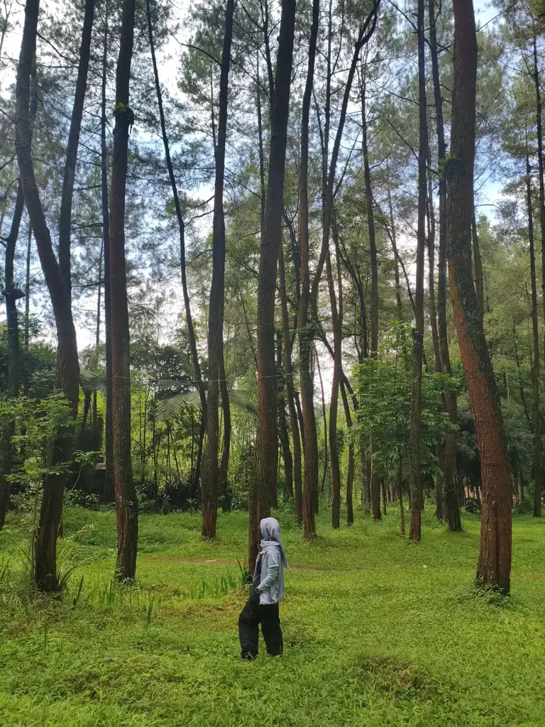 Ledok Ombo Ledok Ombo