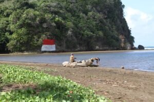 Suasana pantai saat pagi hari Suasana pantai saat pagi hari