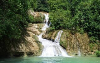 Coban Kedung Darmo Malang dengan air terjun alami di tengah hutan