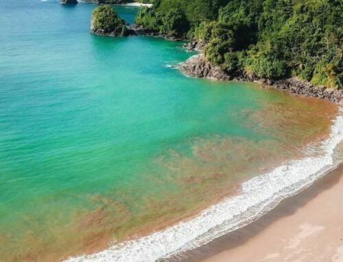 Panduan Lengkap Pantai Wedi Awu Malang 2026: Review Jujur Surfing, Info Tiket, dan Rahasia Ombak Terbaiknya