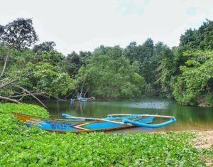 Muara sungai dan hutan bakau Muara sungai dan hutan bakau