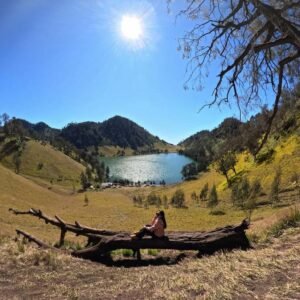 Wisatawan duduk di atas batang pohon