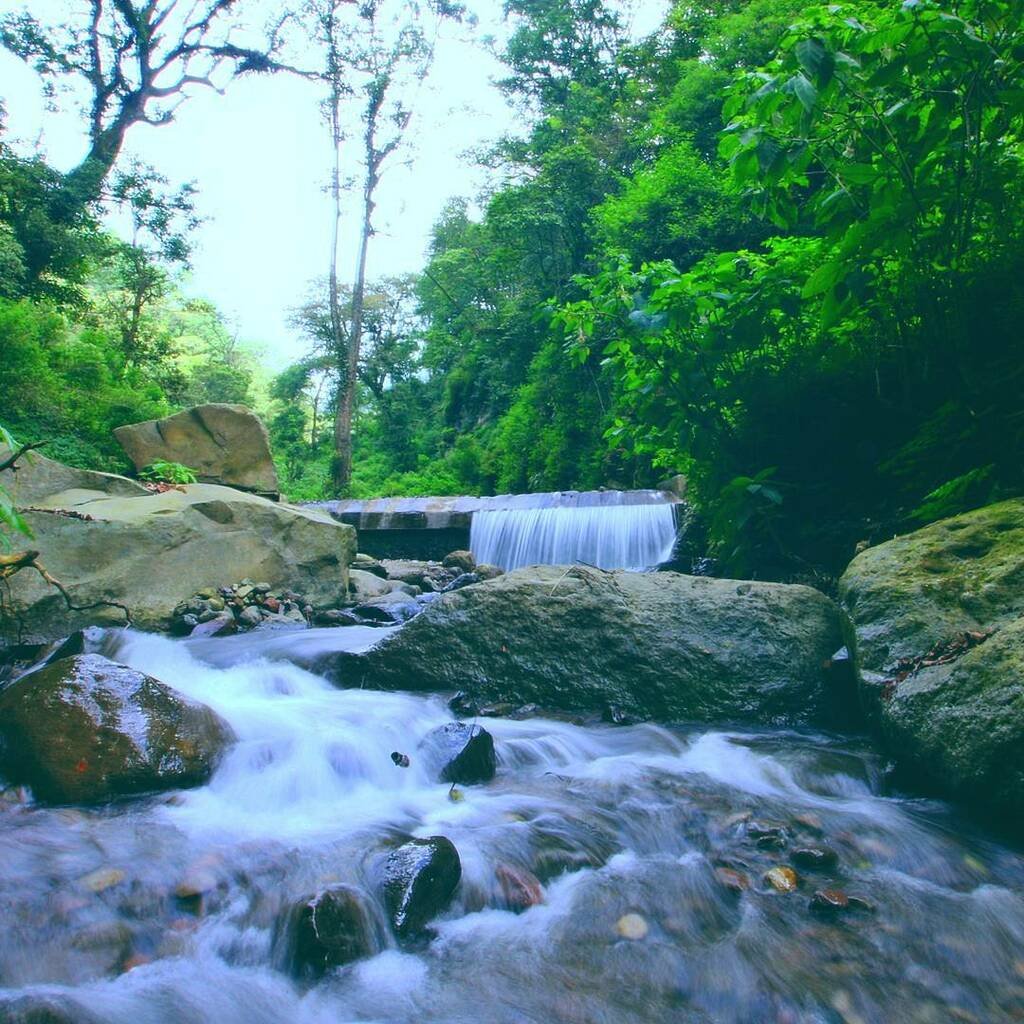 Sungai kecil dengan bebatuan alami di jalur menuju Coban Tengah Sungai kecil dengan bebatuan alami di jalur menuju Coban Tengah