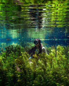 Aktivitas Snorkeling di Sumber Sira Malang