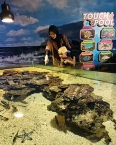 Zona edukasi lingkungan dengan instalasi interaktif