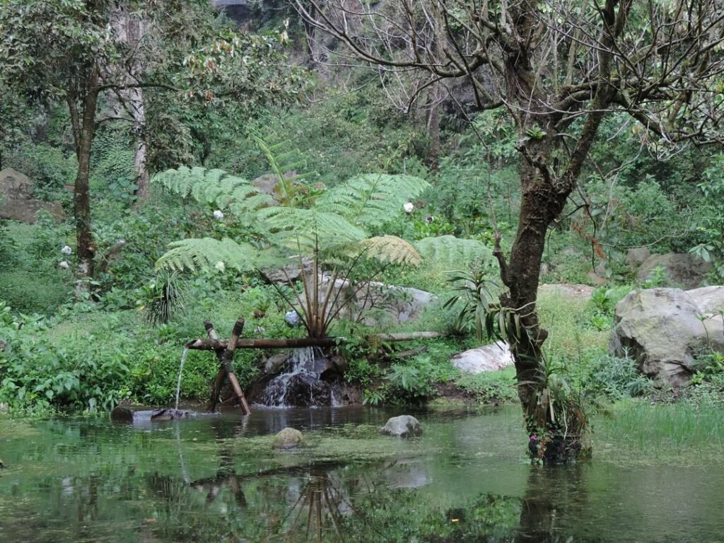 Spot foto di jalur trekking Spot foto di jalur trekking