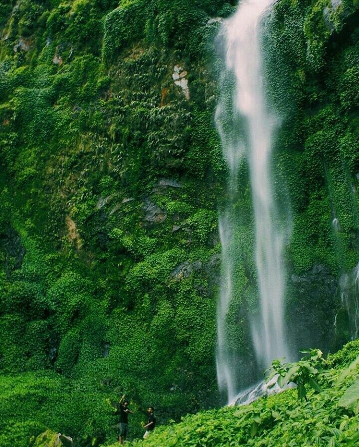 Air terjun Coban Manten Air terjun Coban Manten