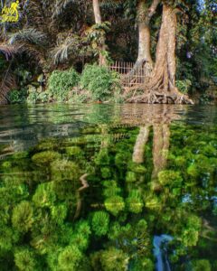 Kejernihan air Sumber Sira