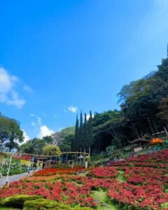 Keindahan Taman Rekreasi Selecta Malang Keindahan Taman Rekreasi Selecta Malang