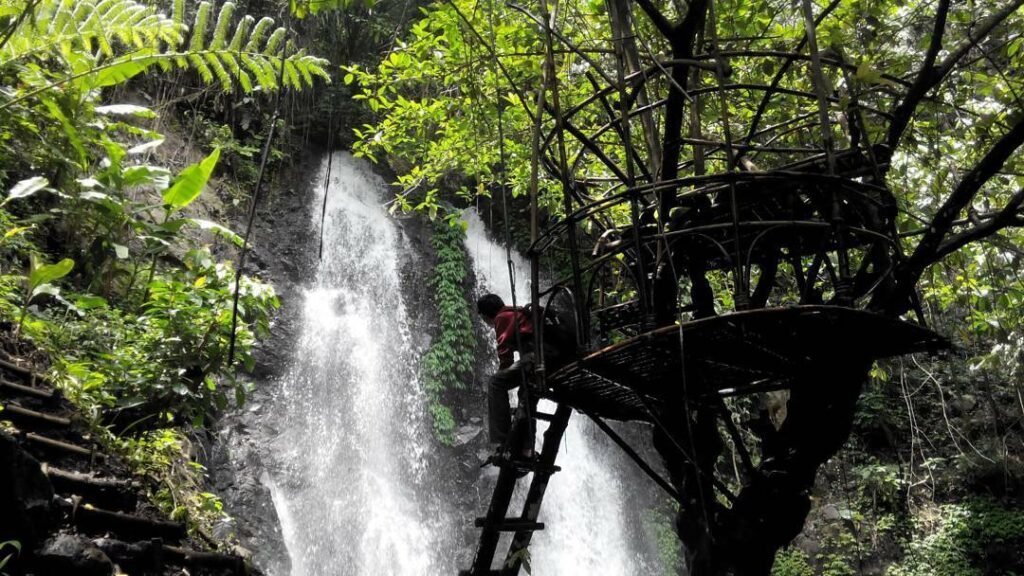 Menikmati keindahan dari atas rumah pohon Menikmati keindahan dari atas rumah pohon
