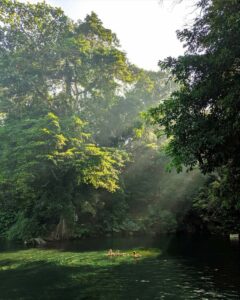 Wisata Alam Sumber Sira