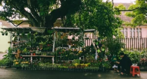 Pasar Bunga dan Burung Splendid