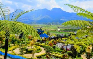 Pemandangan indah Cafe Sawah Pujon Kidul