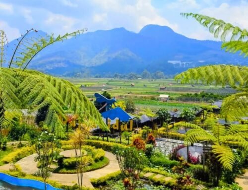 Cafe Sawah Pujon Kidul: Wisata Kuliner di Tengah Sawah Malang