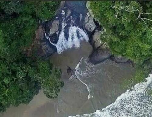 Banyu Anjlok Malang: Air Terjun Unik yang Langsung Jatuh ke Pantai