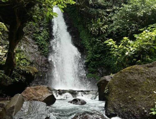 Coban Gintung Malang: Air Terjun Alami dengan Suasana Tenang