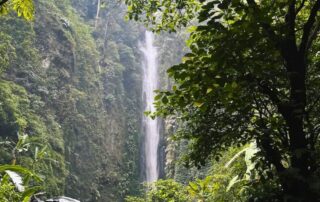 Pemandangan Coban Glotak Malang dengan air terjun alami di tengah hutan hijau.