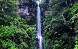 Air terjun Coban Rais dengan aliran deras di tengah hutan