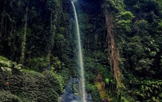 Pemandangan Coban Sadang