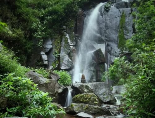 Coban Supit Urang Malang: Pesona Air Terjun Tersembunyi di Kaki Pegunungan