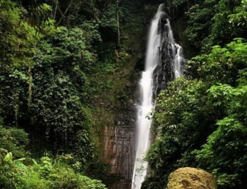Coban Tangkil Malang: Pesona Air Terjun Tersembunyi di Balik Pegunungan