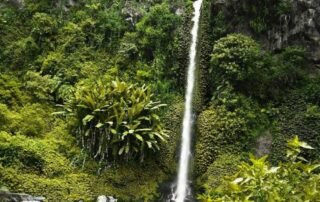 Keindangan Coban Tengah Malang