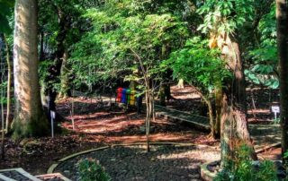 Area Hutan Kota Malabar Malang dengan suasana hijau dan teduh