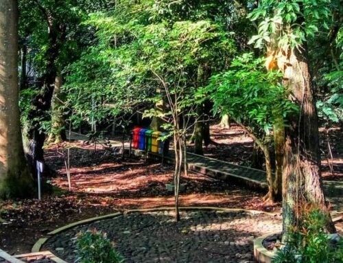 Hutan Kota Malabar Malang: Ruang Hijau Kota, Lokasi, dan Panduan Lengkap