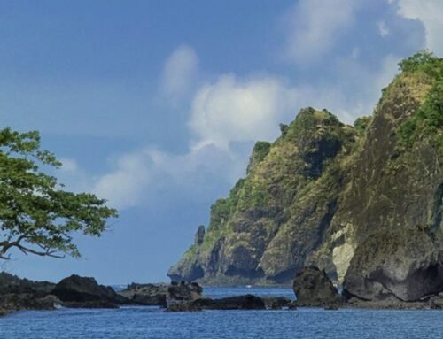 Wisata Pantai Sipelot Malang 2026: Update Fasilitas, Cerita Kami, dan Keunikan Air Terjun di Tepi Lautnya